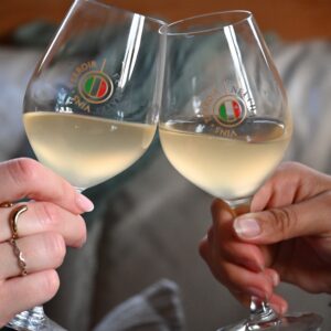 6 wine glasses (26cl)