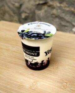 yogourt myrtille bi-couche