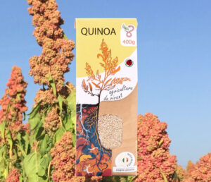 Graines de quinoa