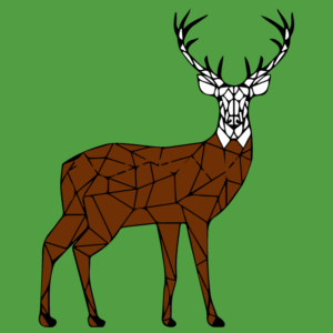 Cerf rouge entier