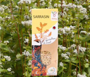 Graines de Sarrasin