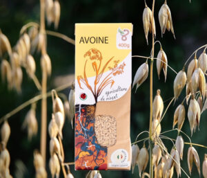 Graines d’Avoine