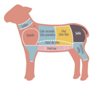 Viande d&rsquo;agneau entier (découpé) ~20kg